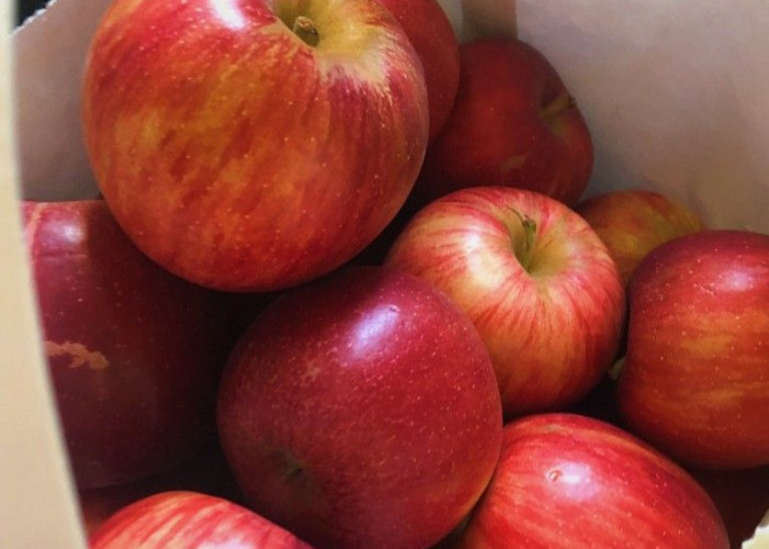 Kaya Nutrisi, Ini Buah yang Bagus untuk Kesehatan Jantung, Bisa Dikonsumsi Sehari-hari 
