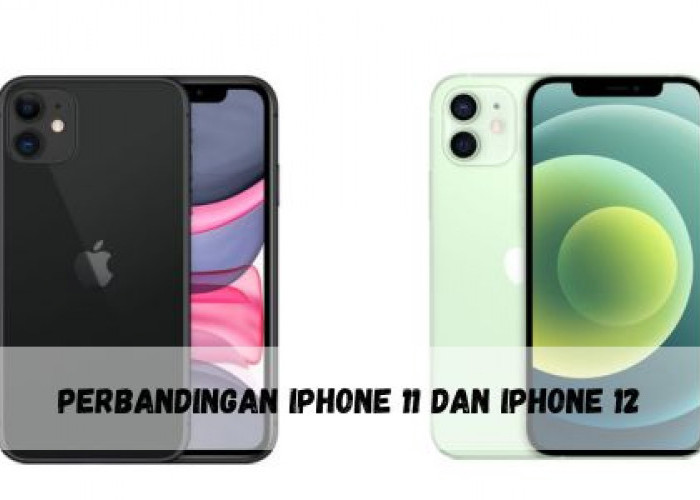 Mana yang Lebih Unggul iPhone 12 atau iPhone 11? Cek Perbandingannya, Harga Sama-sama Diskon Gede di iBox