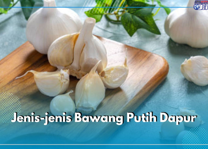 7 Jenis Bawang Putih Dapur yang Jarang Diketahui, Yuk Kenali