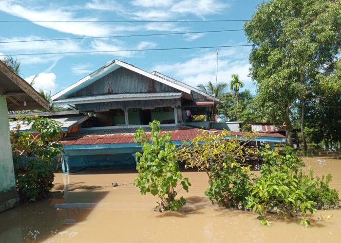 Dua Hari Digenangi Banjir, Warga Kota Bengkulu Mulai Cemas Terserang Penyakit