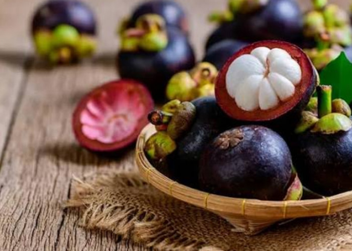 Sangat Disarankan! Berikut Manfaat Buah Manggis Bagi Kesehatan Ibu Hamil 