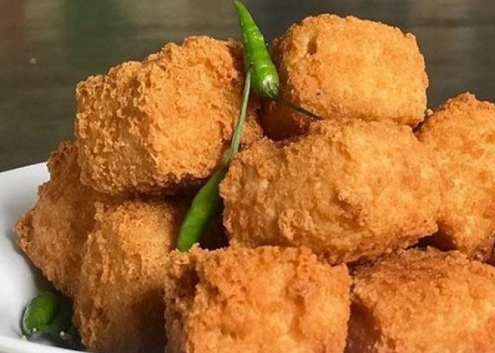 Cek Rekomendasi Makanan Olahan Tahu di Sini, Enak dan Mudah Dibuat untuk Menu Sehari-hari