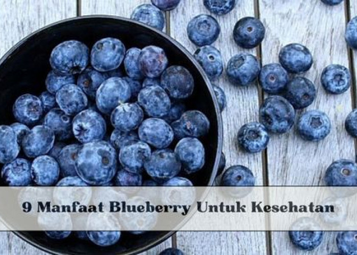 Inilah 9 Manfaat Blueberry Untuk Kesehatan, Cegah Diabetes hingga Turunkan Kolesterol, Cek Khasiat Lainnya 
