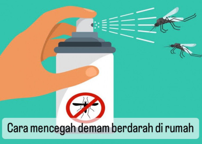 Hindari Gigitan Nyamuk hingga Jaga Kebersihan, Ini 6 Cara Cegah Demam Berdarah di Rumah