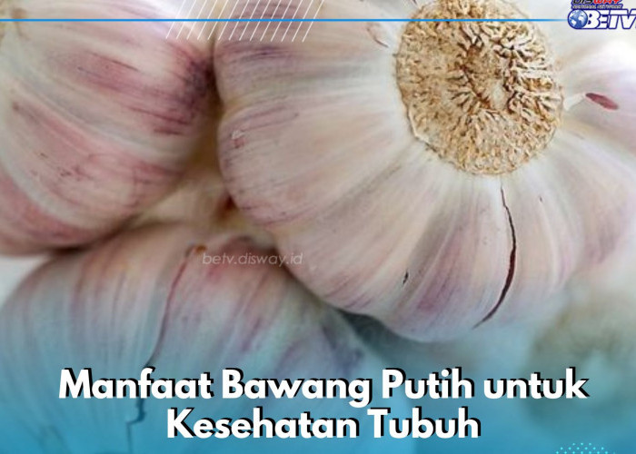 Manfaat Lain Konsumsi Bawang Putih bagi Kesehatan, Cek di Sini! Ampuh Mengontrol Kadar Gula Darah