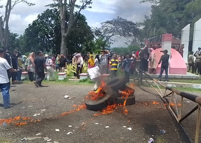 Keputusan Pemberhentian Kades Tak Dikeluarkan, Aksi Demo Warga Desa Dusun Baru Berujung Ricuh 