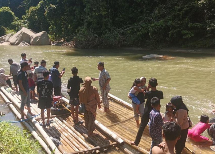 Ikan Larangan Taba Lubuk Puding Ramai Dikunjungi Saat Lebaran, Jadi Wisata Alam Paling Favorit