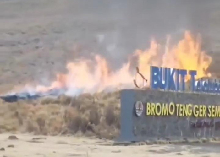 Bikin Resah! Kebakaran di Kawasan Bukit Teletubbies Gunung Bromo, Diduga karena Aktivitas Foto Prewedding