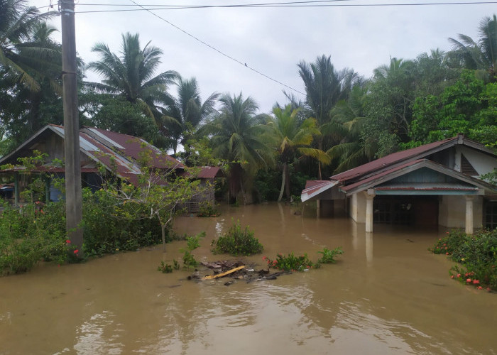 Dampak Hujan Deras, Wilayah Bantaran Sungai Bengkulu Kebanjiran 
