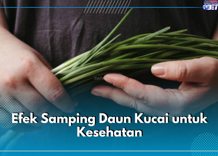 Memicu Efek Samping, Ini 6 Gejala yang Timbul Ketika Mengonsumsi Daun Kucai Berlebihan