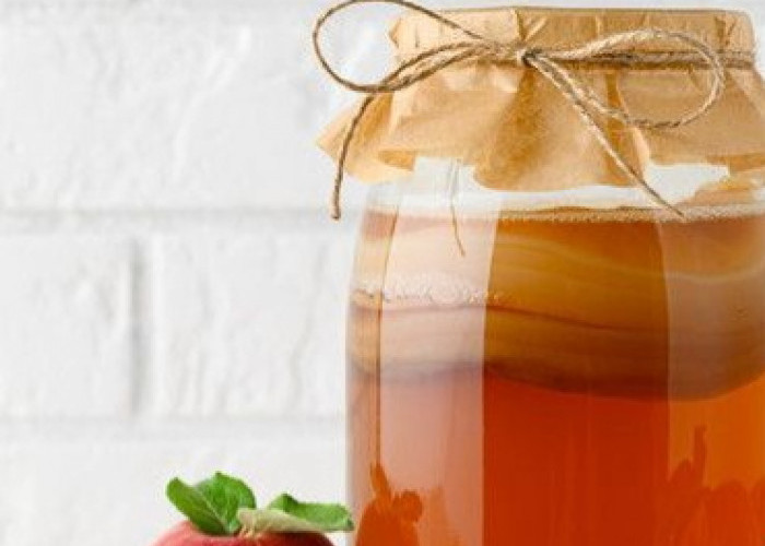 Perlu Tahu, 7 Manfaat Teh Kombucha bagi Kesehatan, Minuman Fermentasi yang Kaya Senyawa Bioaktif