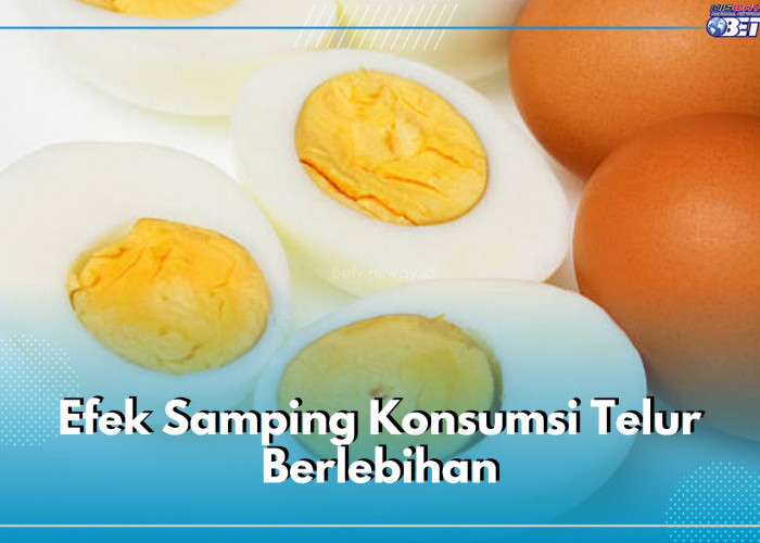 Bukan Bisulan, Ini 5 Efek Samping Konsumsi Telur Terlalu Banyak, Bisa Bebani Fungsi Hati