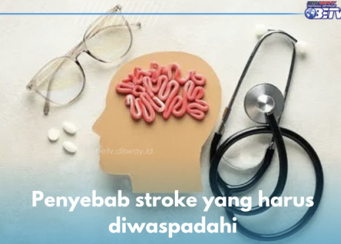 8 Penyebab Stroke yang Harus Diwaspadahi, Salah Satunya Tekanan Darah Tinggi, Cek  Lainnya di Sini