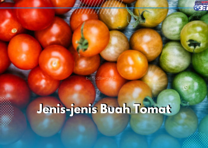 7 Jenis Buah Tomat yang Perlu Kamu Ketahui, Pernah Coba yang Mana?
