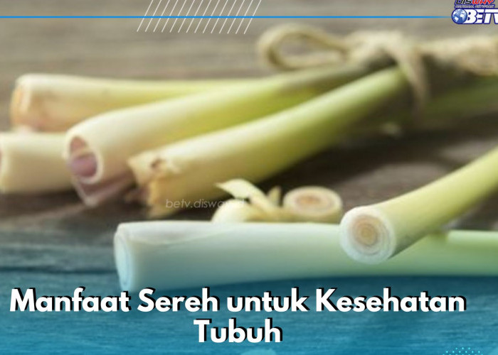 Sereh Punya Sifat Antibakteri, Ini Manfaat yang Dapat Kamu Rasakan Jika Mengonsumsinya