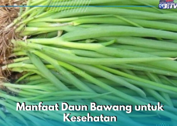 Daun Bawang Ini Ampuh Menjaga Sistem Kekebalan Tubuh Bumil, Cek Manfaat Lainnya di Sini