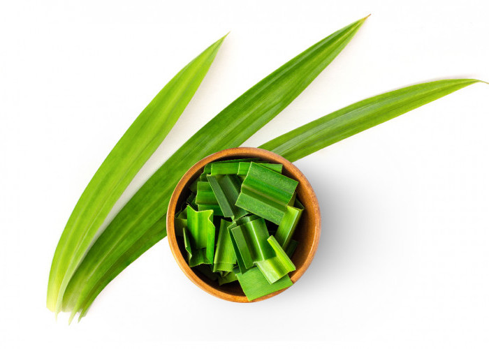 Tak hanya Pandan Wangi, Ini Ragam Jenis Daun Pandan yang Ada di Indonesia 