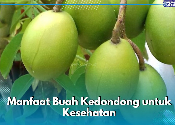 6 Manfaat Buah Kedondong bagi Kesehatan Tubuh, Dipercaya Dapat Menjadi Obat Batuk