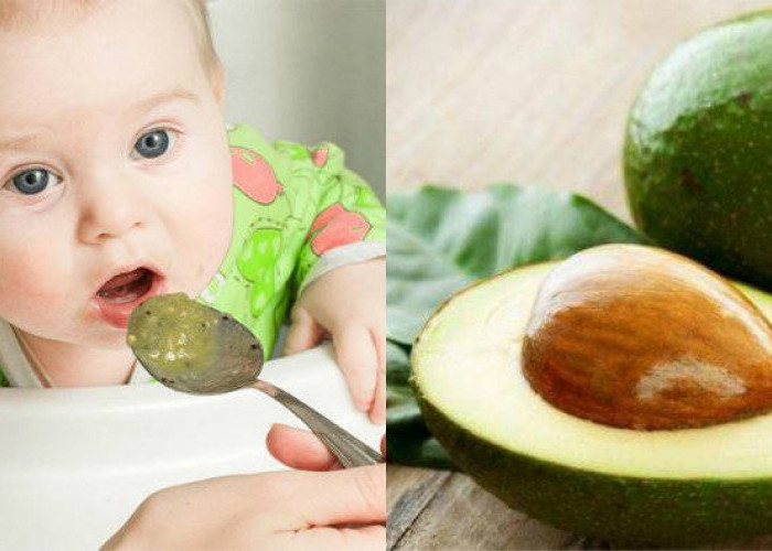 5 Jenis Buah yang Baik untuk Bantu Tumbuh Kembang Si Kecil, Salah Satunya Alpukat