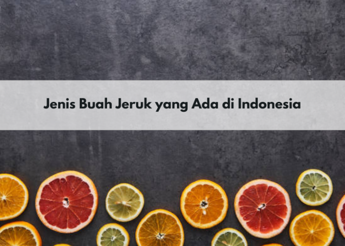 Jeruk Mandarin hingga Jeruk Purut, Inilah 8 Jenis Buah Jeruk yang Ada di Indonesia, Pernah Coba yang Mana?