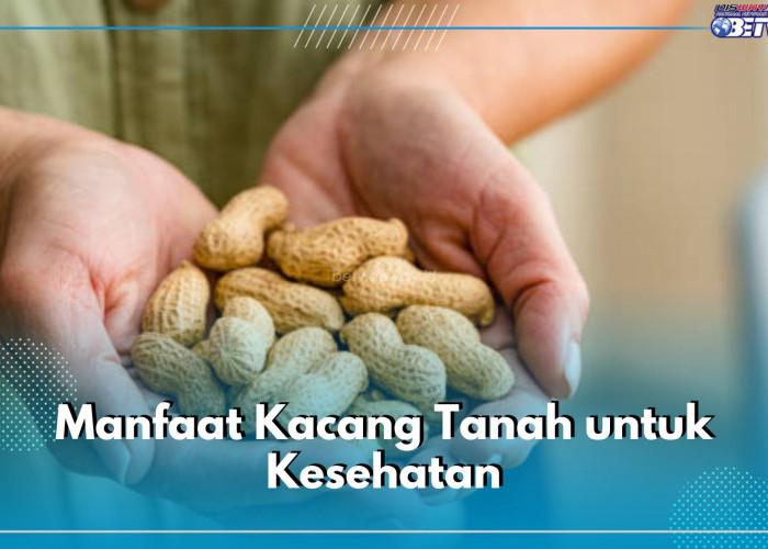 Ampuh Tingkatkan Energi Tubuh, Ini 6 Manfaat Lain yang Ditawarkan Kacang Tanah untuk Kesehatan