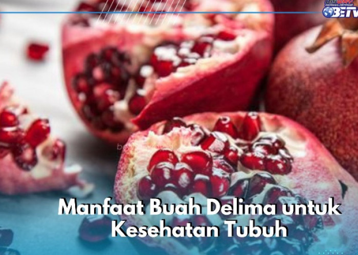 Buah Delima Aman Dikonsumsi Sehari-hari, Ini 7 Manfaat yang Baik bagi Kesehatan Tubuh