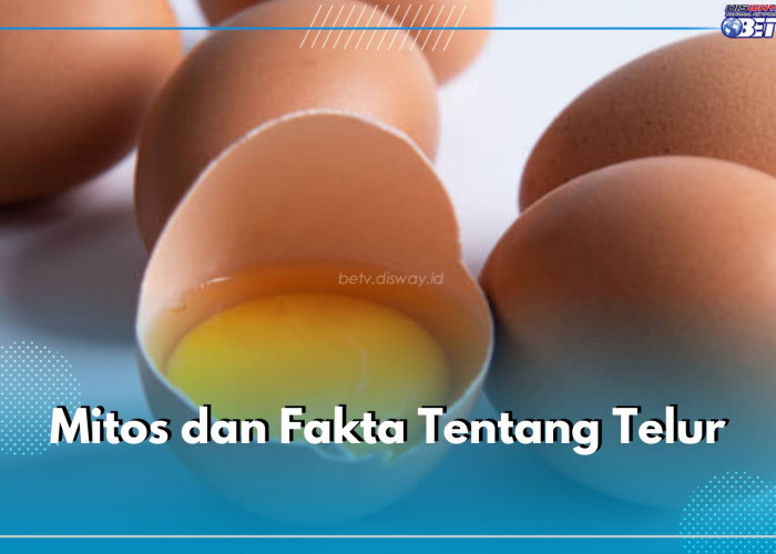 Telur Bisa Bikin Kolesterol, Mitos atau Fakta? Cek Jawabannya di Sini!