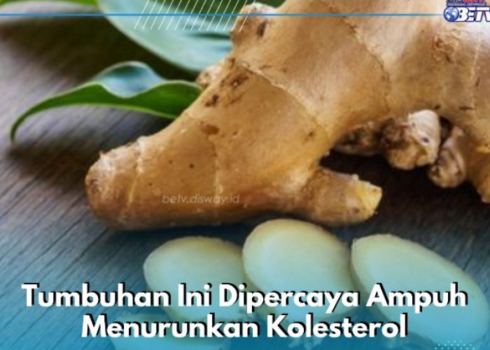 Tumbuhan Ini Dipercaya Ampuh Menurunkan Kolesterol, Cukup Konsumsi Secara Rutin