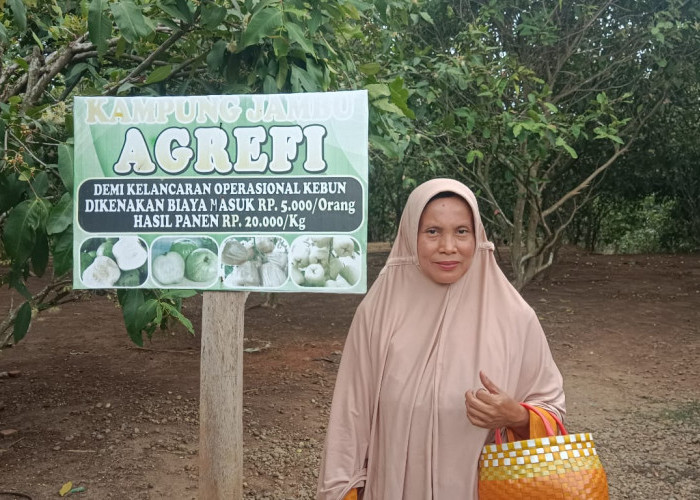 Pesona Kampung Jambu Agrefi: Wisata Edukasi dan Petik Buah di Kota Bengkulu