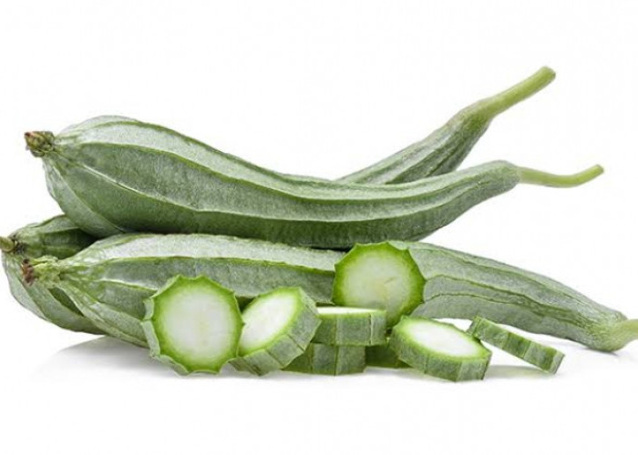 Inilah 9 Manfaat Konsumsi Sayur Gambas dengan Rutin, Ampuh Cegah Sakit Mata