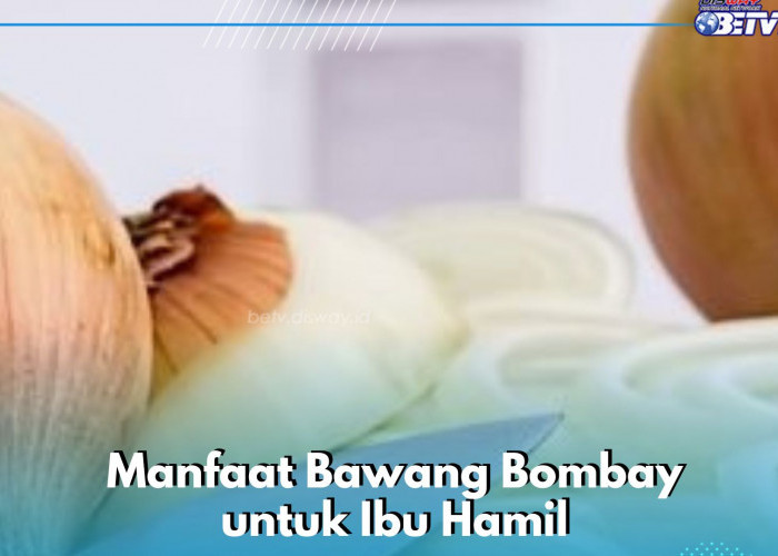 Mampu Meningkatkan Imunitas Ibu Hamil, Cukup Konsumsi Bawang Bombay Ini, Cek Manfaatnya