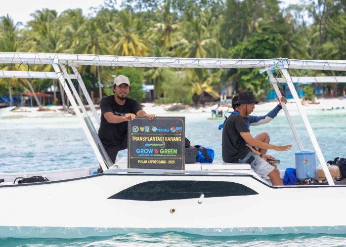 Aksi Nyata BRI dalam Menjaga Kelestarian Laut, Salah Satunya Menanam - Grow and Green di Pulau Kapoposang