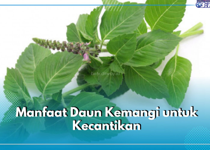 Baik untuk Kulit dan Rambut, Ini Sederet Manfaat yang Ditawarkan Daun Kemangi untuk Kecantikan