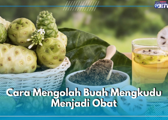 Mudah Banget! Ini 5 Cara Olah Buah Mengkudu Jadi Obat, Salah Satunya Dibuat Jus