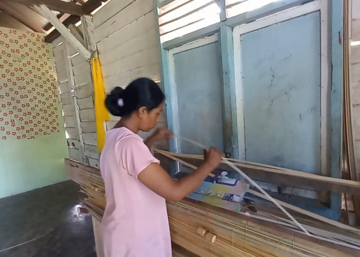 Cerita Warga Desa Ngalam Seluma, Jadikan Kerajinan Tirai Sawit untuk Bertahan Hidup