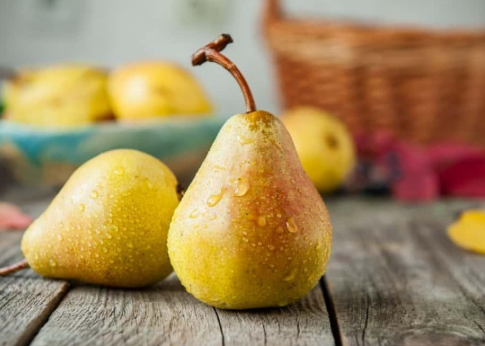 Pecinta Buah Pir Yuk Merapat, Cek Disini Manfaat Konsumsinya untuk Kesehatan Tubuh!