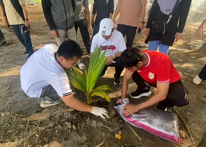 Pastikan Gempala Berhasil, Dedy Wahyudi Instruksikan OPD Rawat Intensif Pohon Kelapa Pantai Panjang