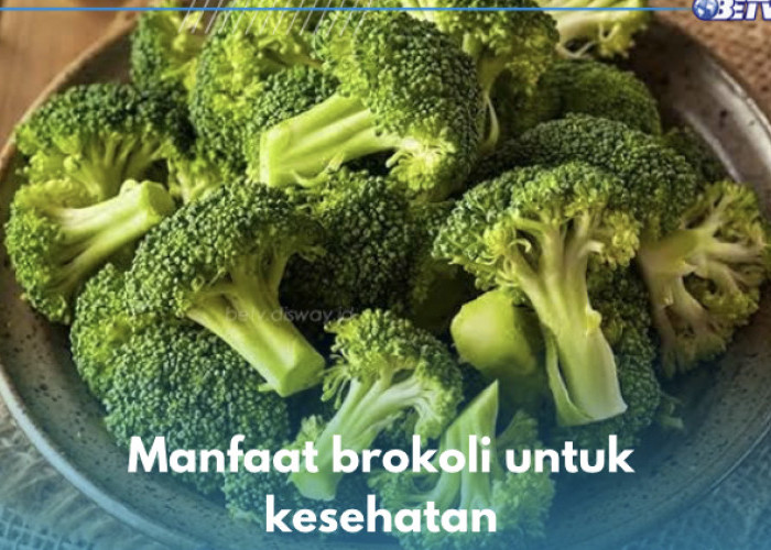 Sayuran Hijau Penurun Kolesterol, Ini 7 Manfaat Lain Brokoli untuk Kesehatan