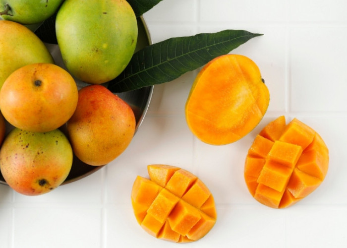 Kenali Ragam Jenis Buah Mangga yang Ada di Indonesia, Salah Satunya Mangga Indramayu 