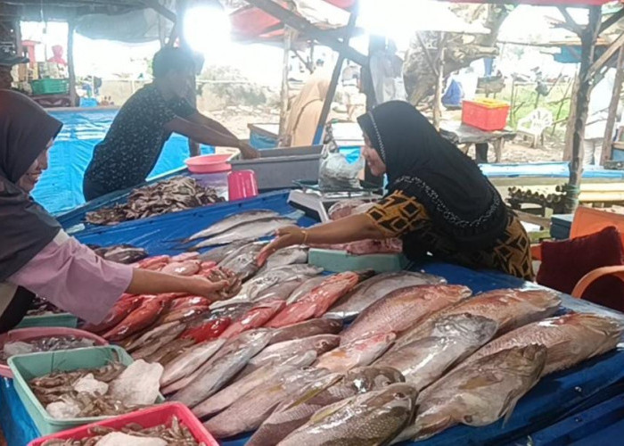 Harga Ikan di Pasar Bengkulu Naik, Penjual Akui Dampak Cuaca Buruk