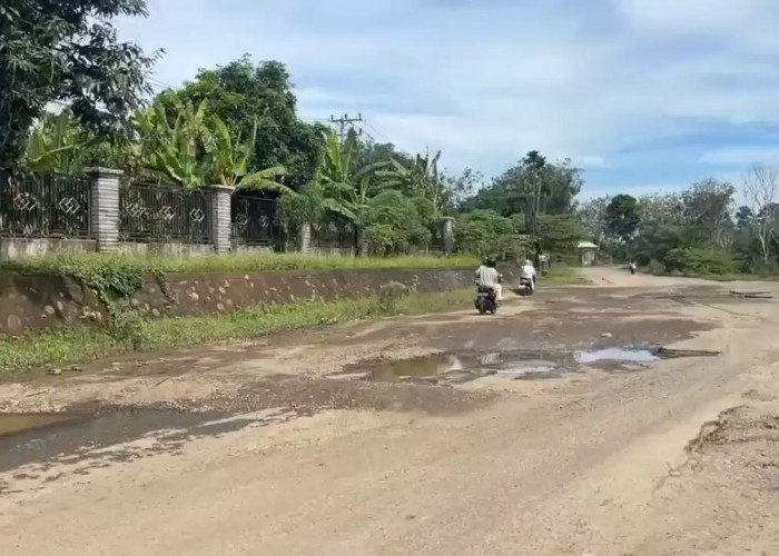 Dari Seluma hingga Lebong, Pemprov Bengkulu Mulai Perbaikan 24 Km Jalan dan Pastikan Selesai 30 Desember