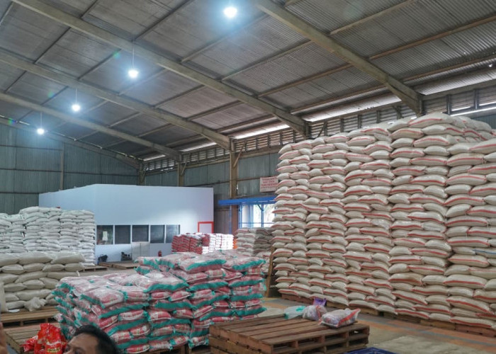 Bulog Bengkulu Pastikan Stok Beras dan Minyak Goreng Aman hingga Akhir 2026