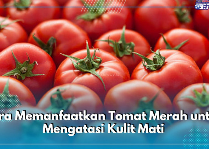 Manfaatkan Tomat Merah Sebagai Bahan Alami Mengatasi Kulit Mati, Cek Caranya di Sini