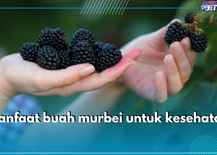 Bukan Cuma Lezat, Ini 6 Manfaat yang Ditawarkan Buah Murbei untuk Kesehatan, Apa Saja?