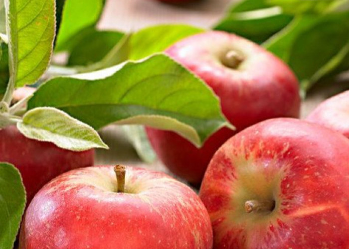 Bantu Kenyang Lebih Lama, Ini Daftar Buah yang Bagus untuk Diet dan Jaga Berat Badan