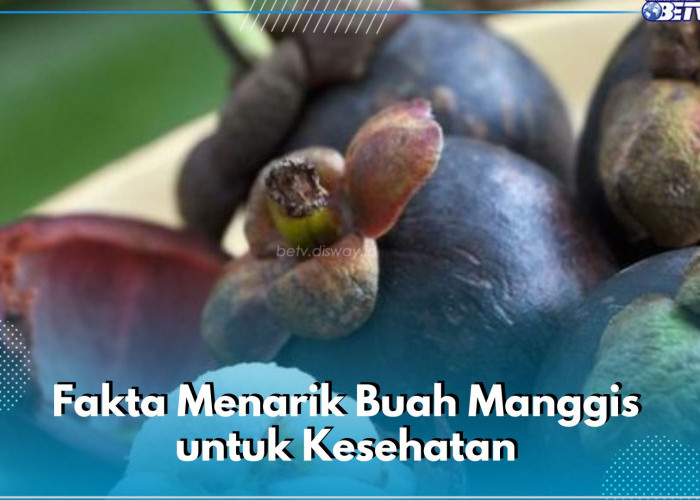 7 Fakta Menarik Buah Manggis yang Jarang Diketahui, Dapat Membuat Kulit Awet Muda