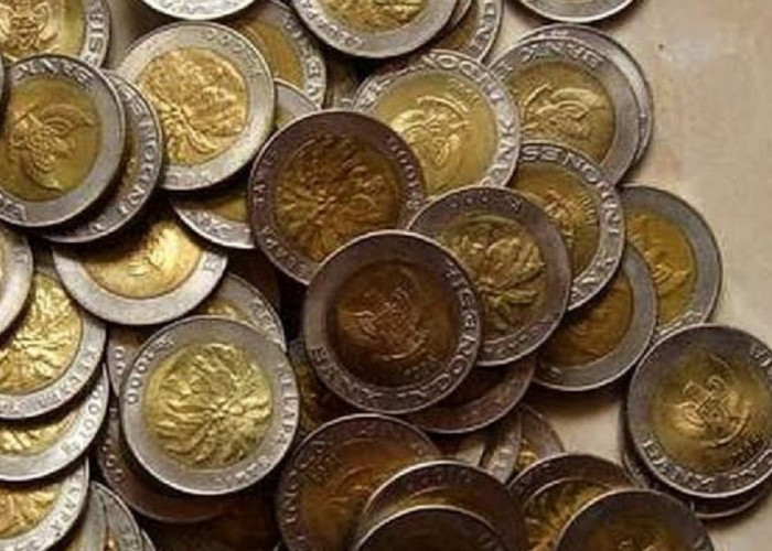 Tidak Perlu Bingung, Ini 4 Tips Menjual Koin Kuno dengan Harga Tinggi hingga Puluhan Juta