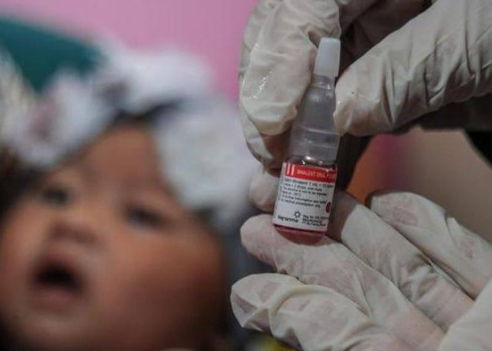 24 Oktober Memperingati Hari Polio Sedunia, Simak 4 Cara Mencegah Penyakit Polio Selain Vaksinasi