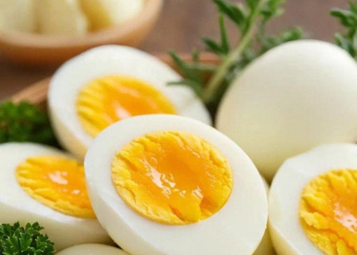 Cek Rekomendasi Makanan Sehat untuk Ibu Hamil, Bergizi dan Baik untuk Perkembangan Janin