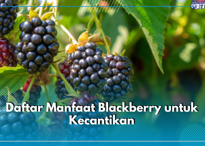 Ampuh Mencerahkan hingga Atasi Jerawat di Kulit, Ini Daftar Manfaat Blackberry untuk Kecantikan